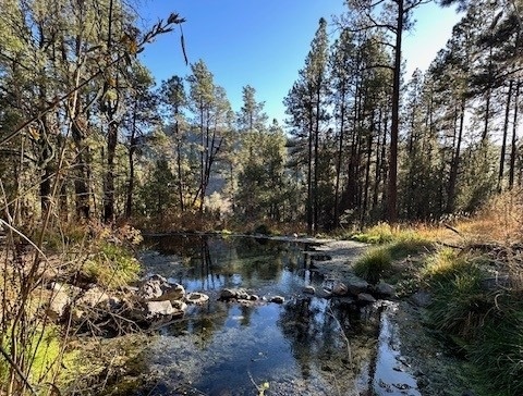 Jemez Springs, NM